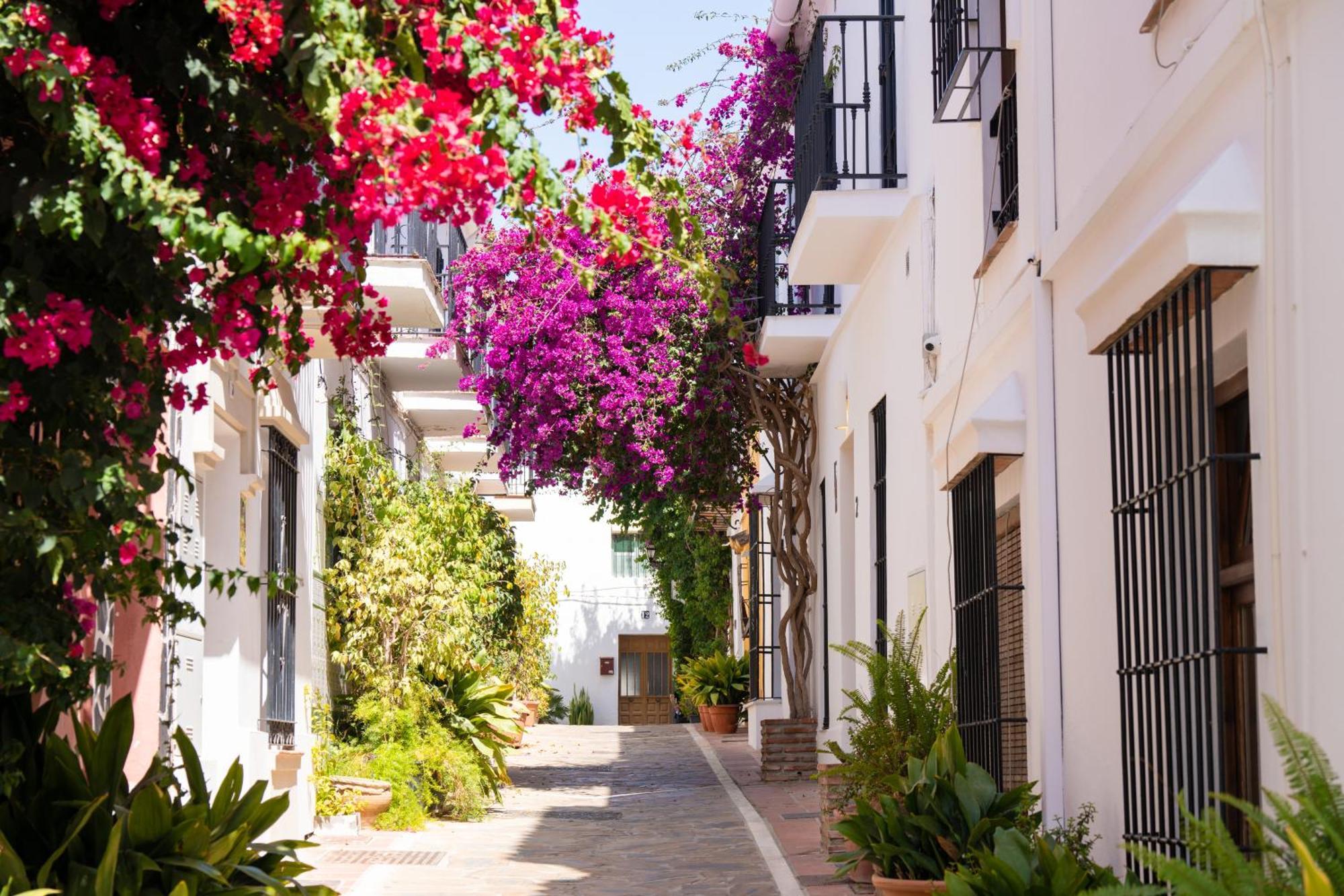 Puerto Banus Paradise 4 Dama De Noche * Marbellac